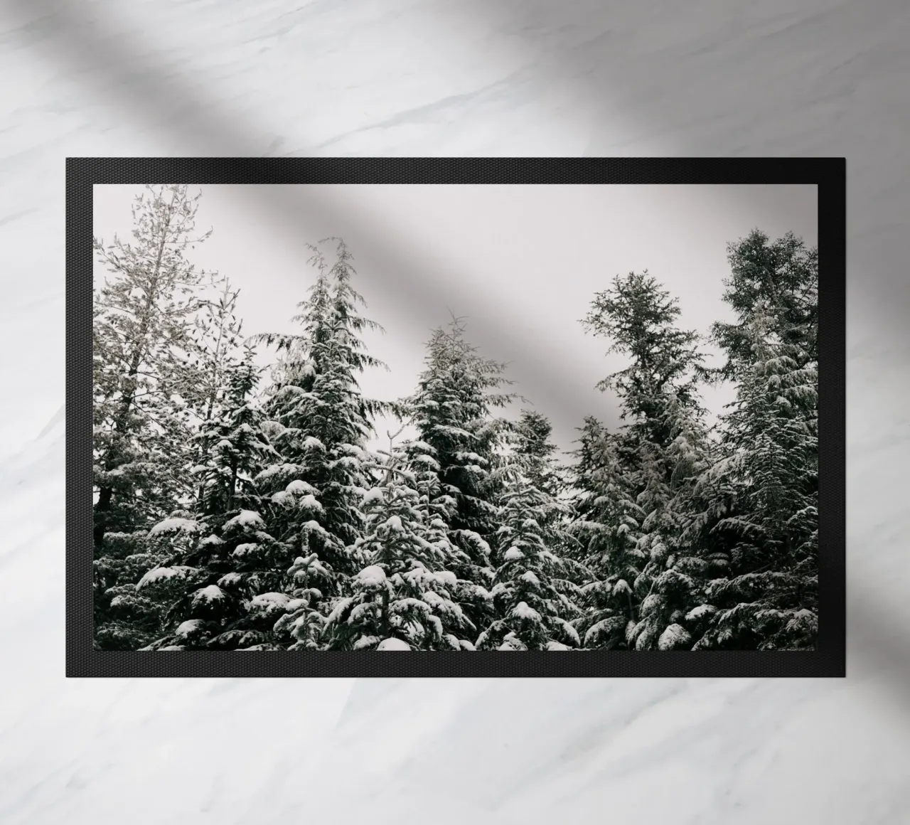 Winter Forest zerbino da wowhannahphotos