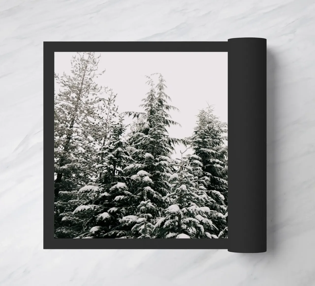 Winter Forest zerbino da wowhannahphotos