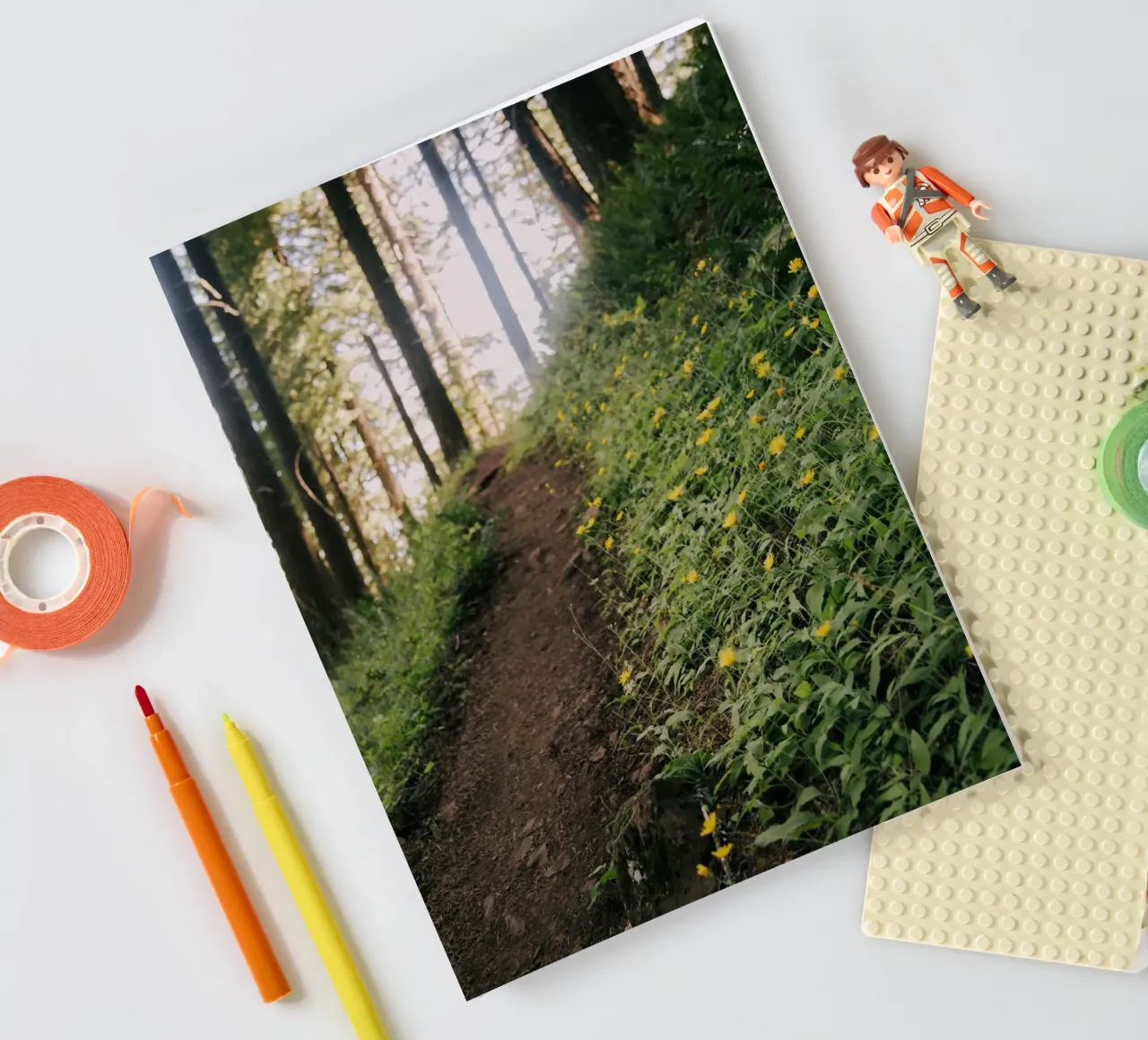 Dandelion Path notebook by wowhannahphotos