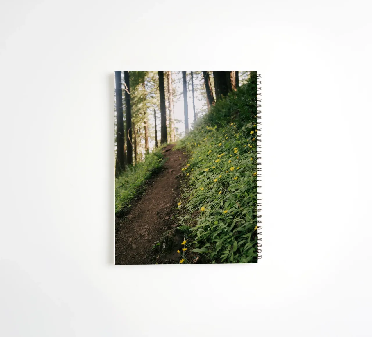 Dandelion Path spiral notebook by wowhannahphotos