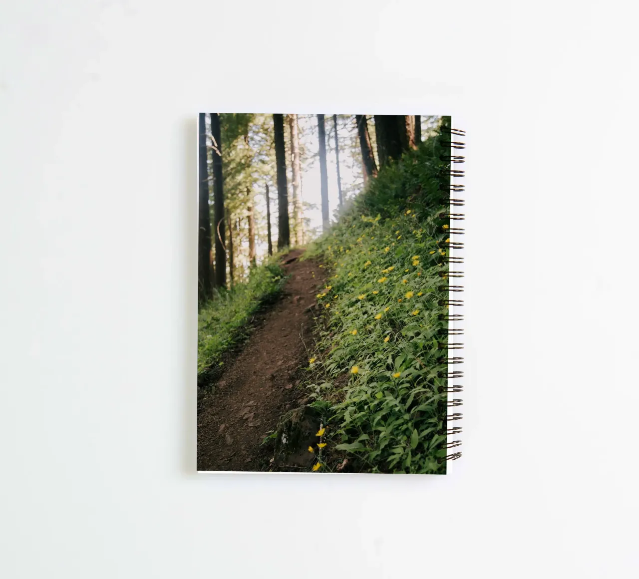 Dandelion Path diario ad anelli da wowhannahphotos