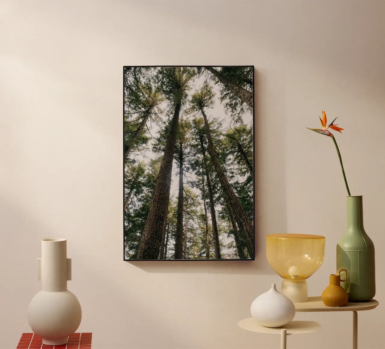 Tall Trees plexiglass da wowhannahphotos