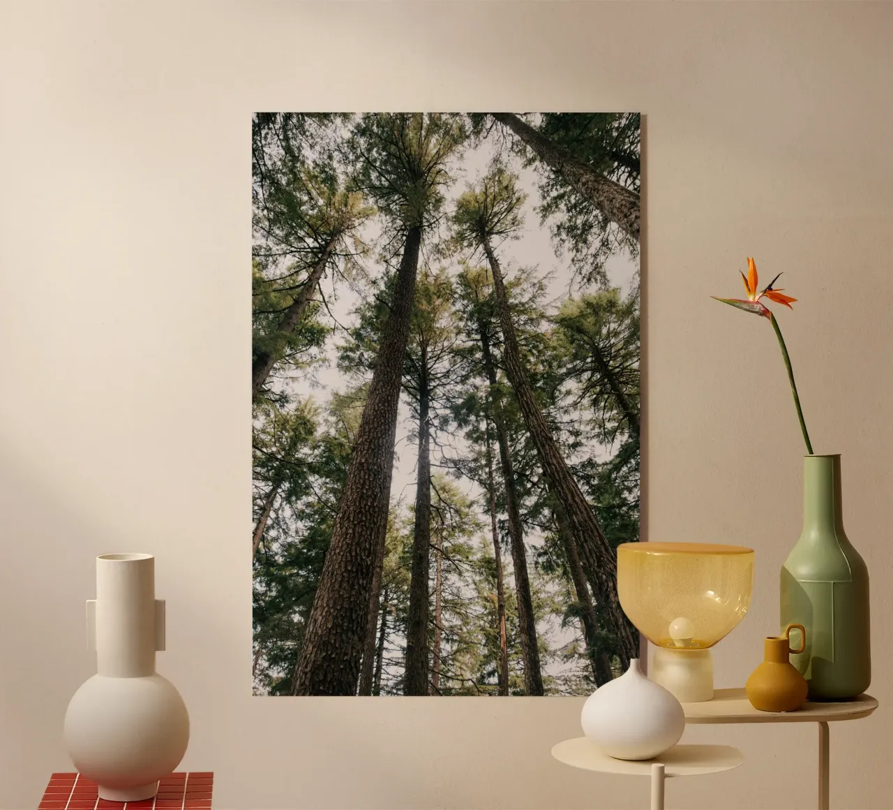 Tall Trees acryl van wowhannahphotos