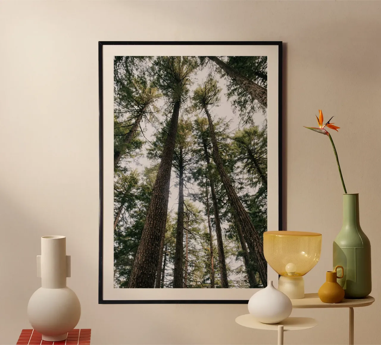 Tall Trees poster da wowhannahphotos