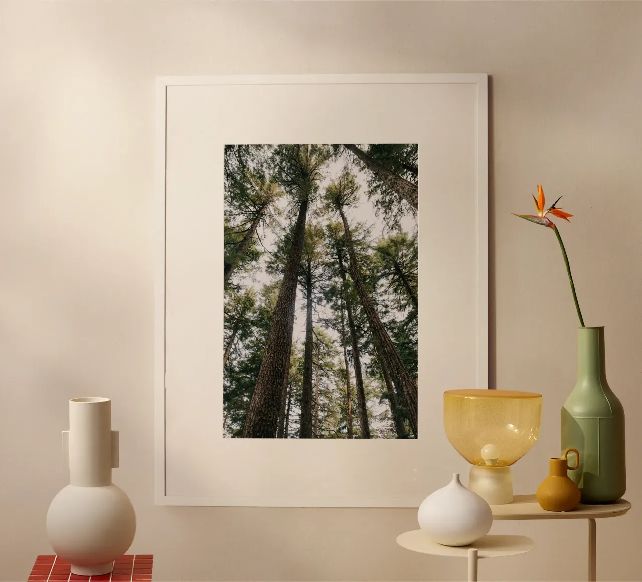 Tall Trees poster da wowhannahphotos