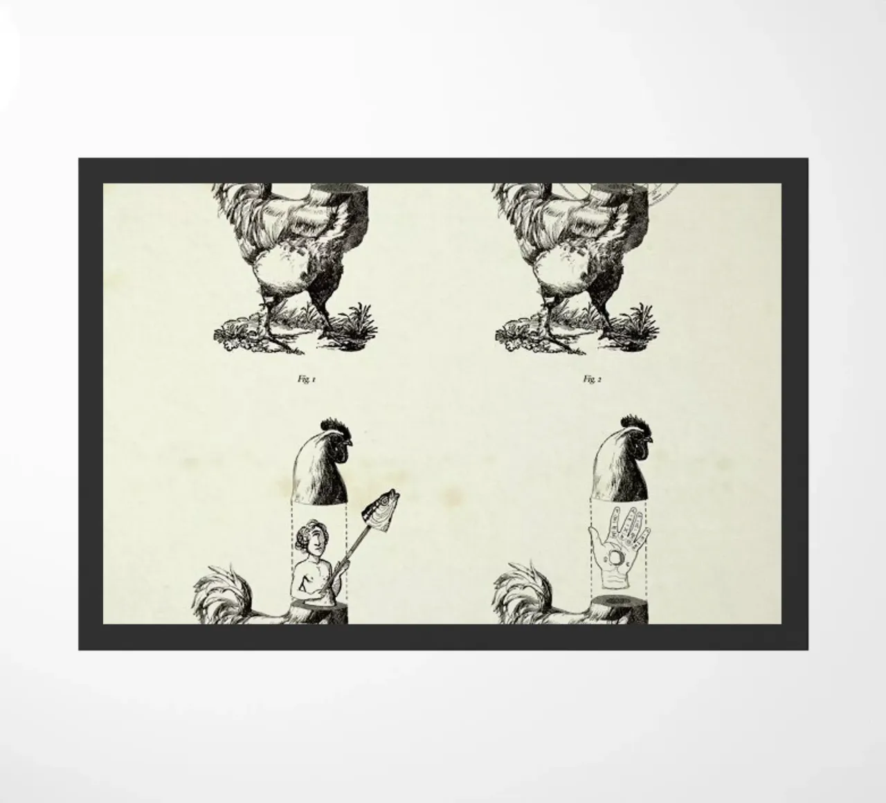 Omaggio a Marc zerbino da Matteo Morelli