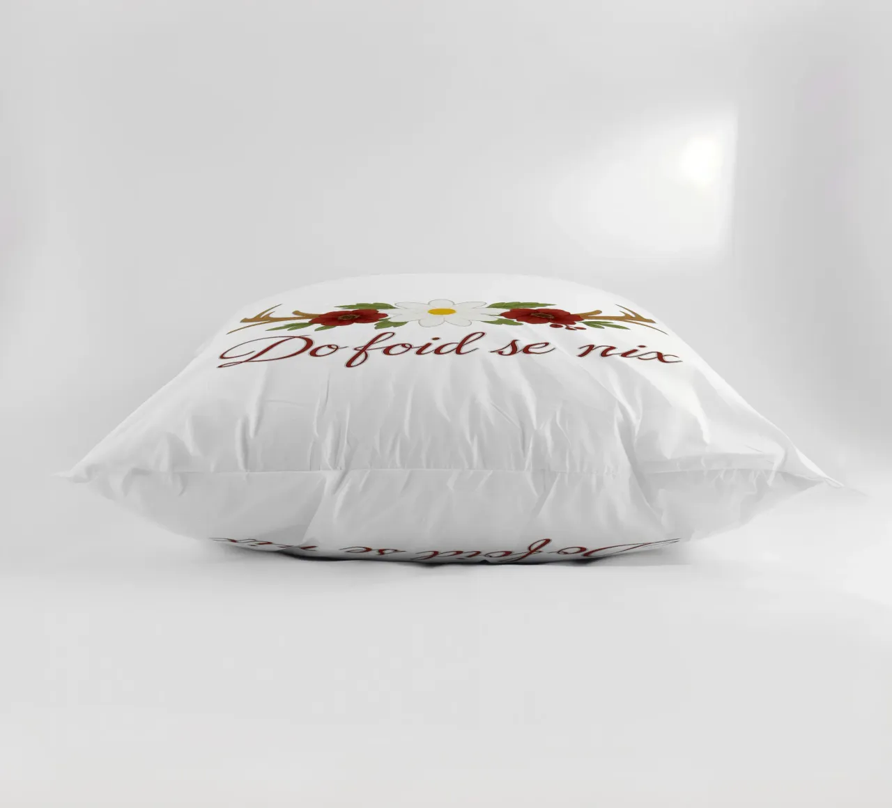 Do foid se nix / Déclaration bavaroise coussin de yp-designs