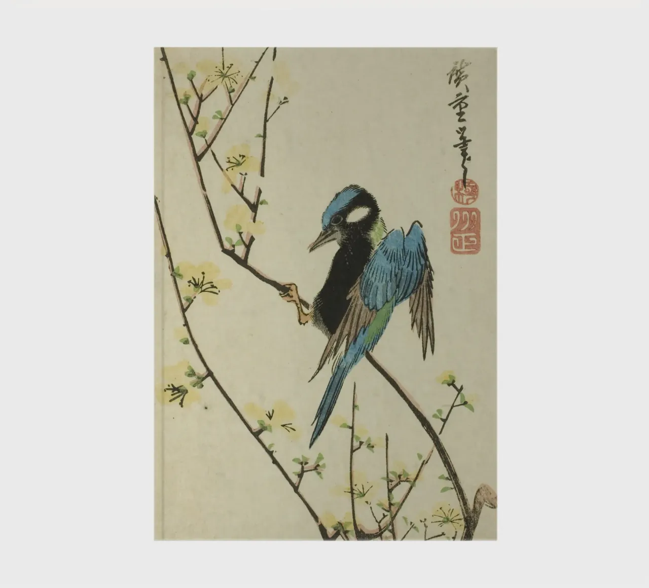 Java sparrow on cherry branch diario da vintageshop