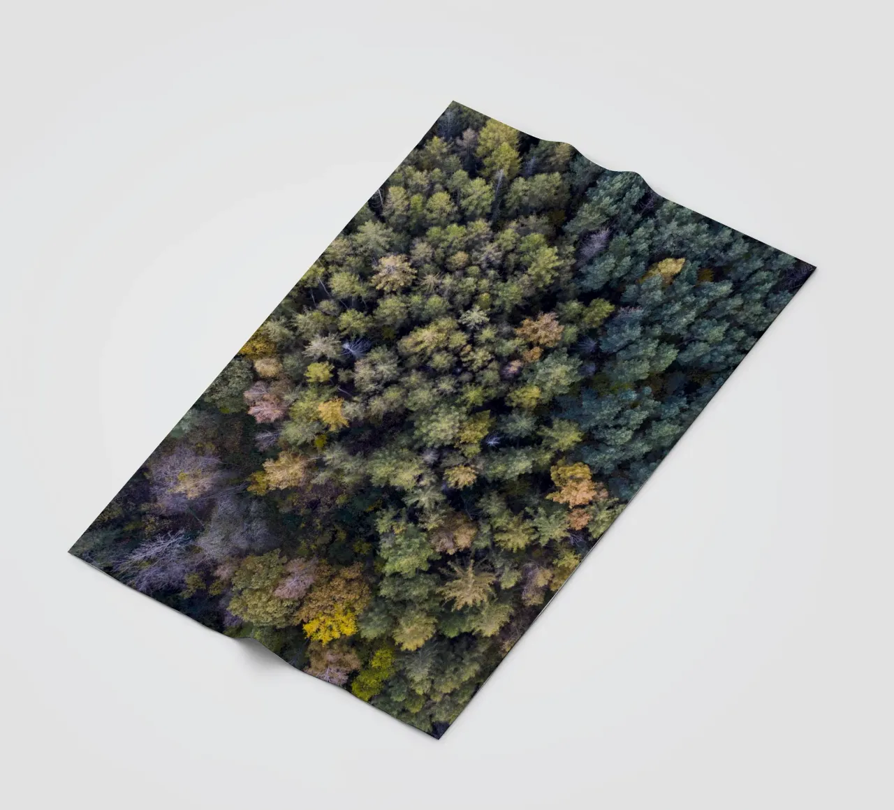 yellow autumn in the forest fleece blanket by Studio Nahili
