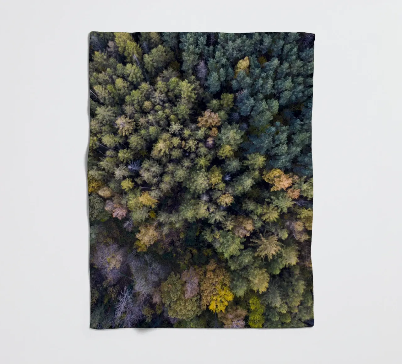 yellow autumn in the forest fleece blanket by Studio Nahili