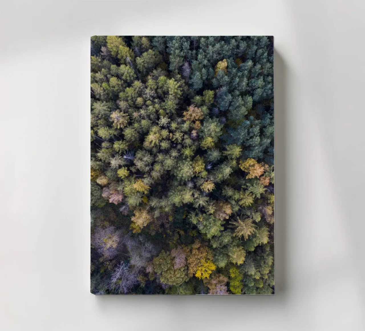 yellow autumn in the forest Notizbuch von Studio Nahili