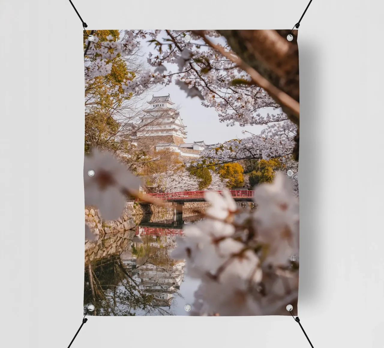I ciliegi in fiore del castello di Himeji, Giappone telo in pvc da Marcel Bisig