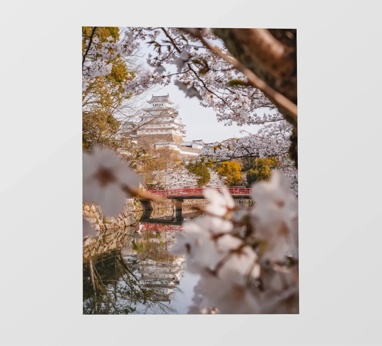 I ciliegi in fiore del castello di Himeji, Giappone telo in pvc da Marcel Bisig