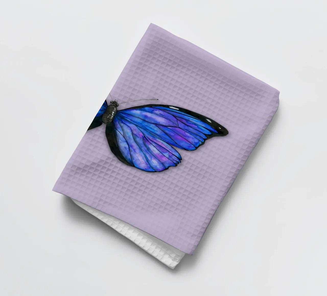 Farfalla Morpho menelaus acquerello canovaccio da cucina da BwiseLizzy