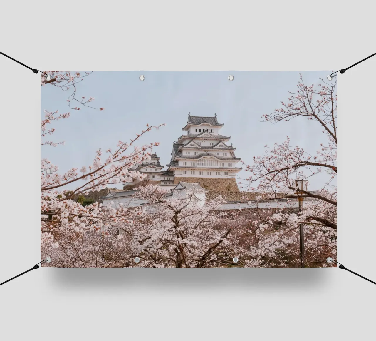I ciliegi in fiore del castello di Himeji, Giappone telo in pvc da Marcel Bisig