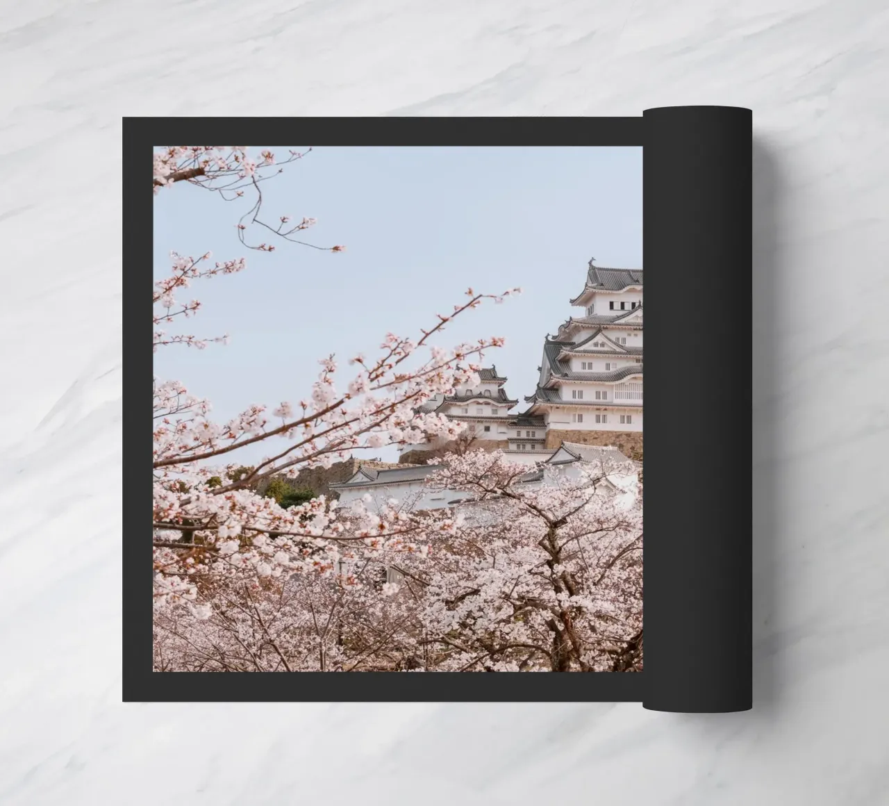 I ciliegi in fiore del castello di Himeji, Giappone zerbino da Marcel Bisig
