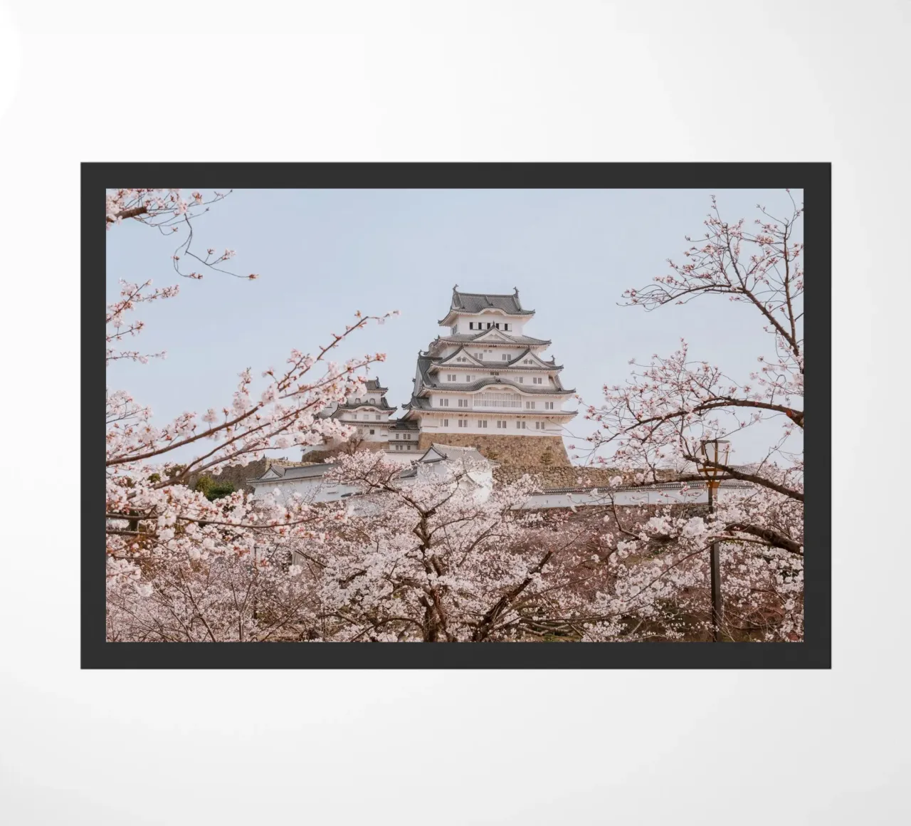 I ciliegi in fiore del castello di Himeji, Giappone zerbino da Marcel Bisig