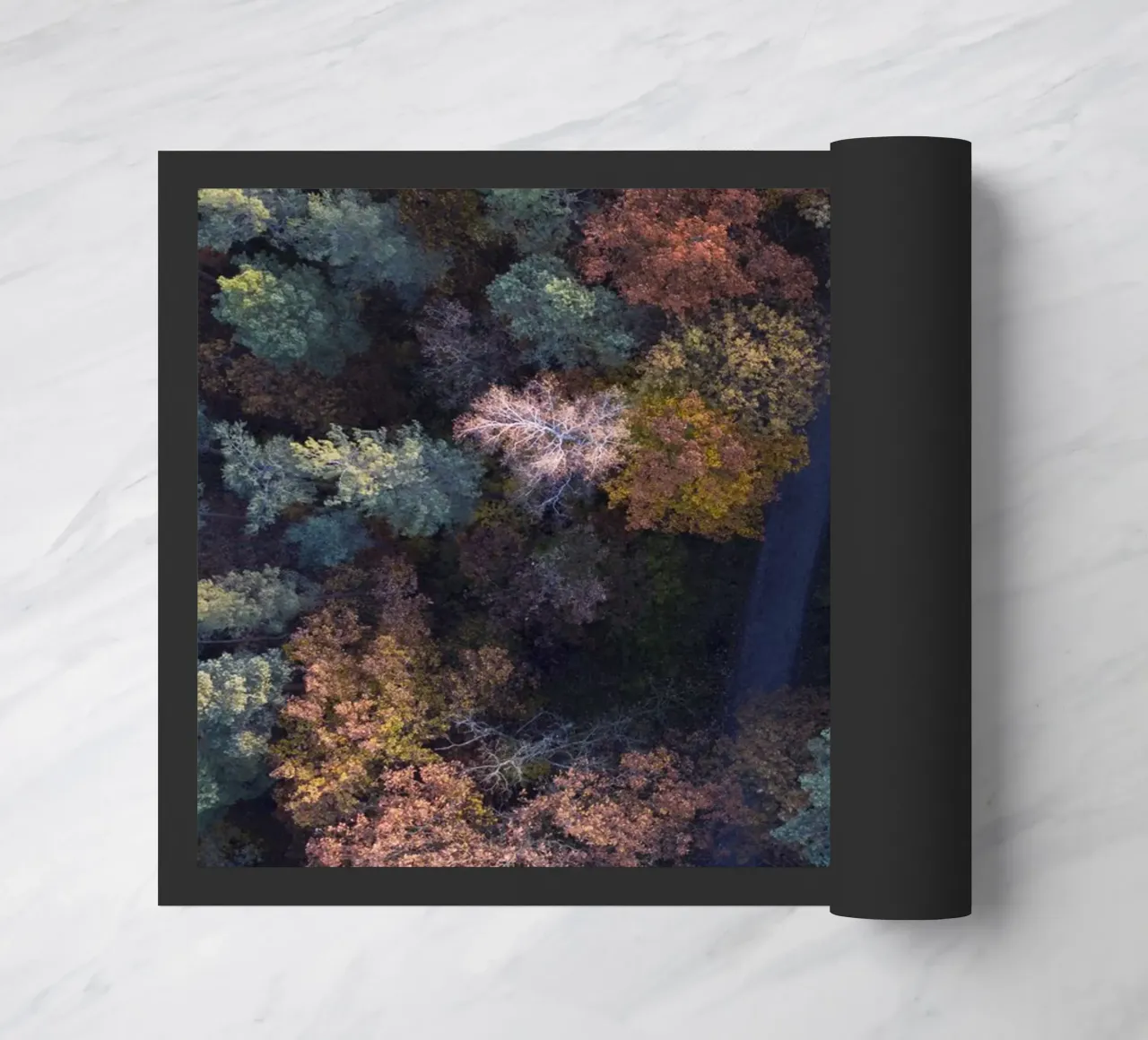 the walk through autumn forests zerbino da Studio Nahili