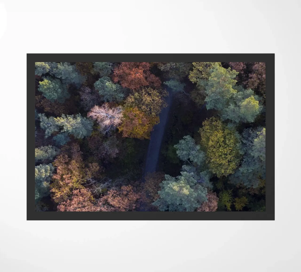 the walk through autumn forests zerbino da Studio Nahili