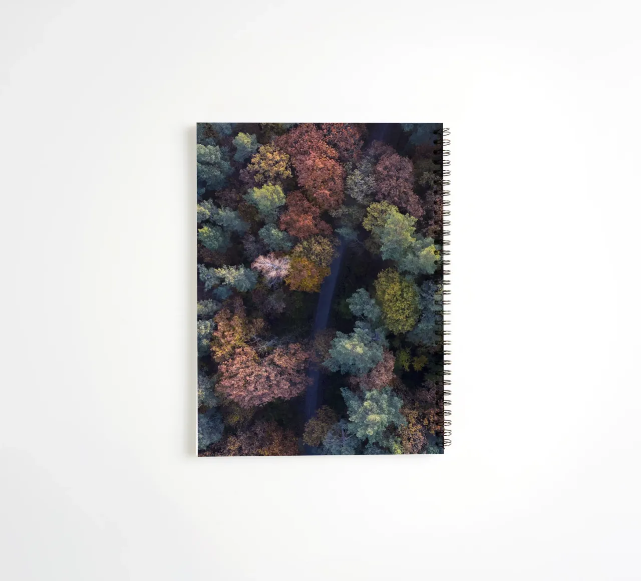 the walk through autumn forests spiral notebook by Studio Nahili