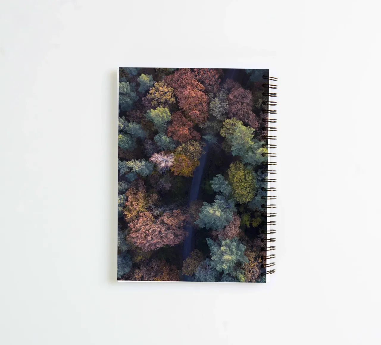 the walk through autumn forests spiral notebook by Studio Nahili