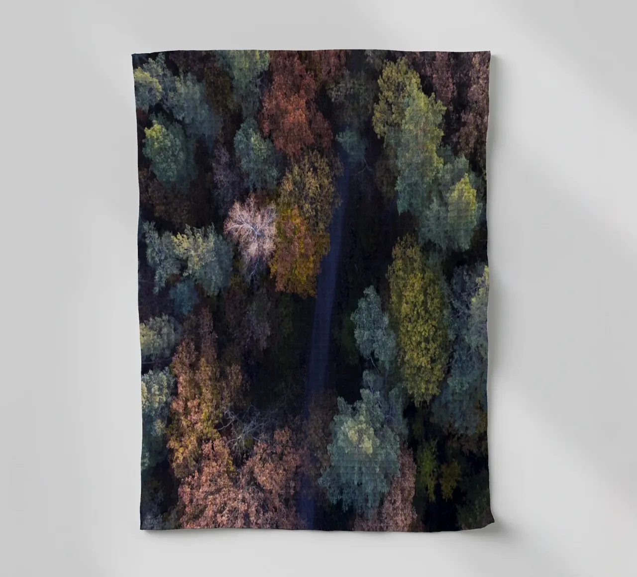 the walk through autumn forests canovaccio da cucina da Studio Nahili