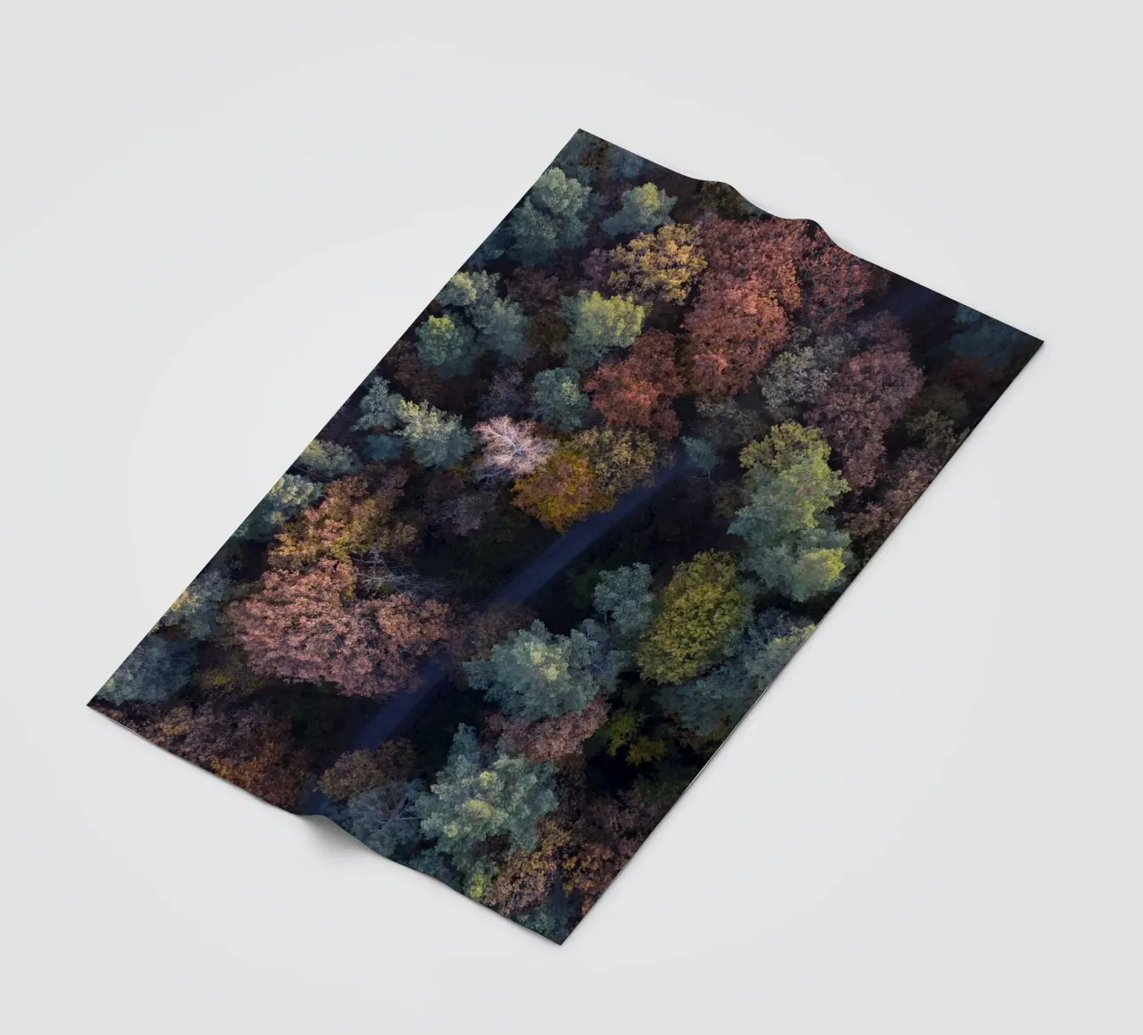 the walk through autumn forests coperta in pile da Studio Nahili