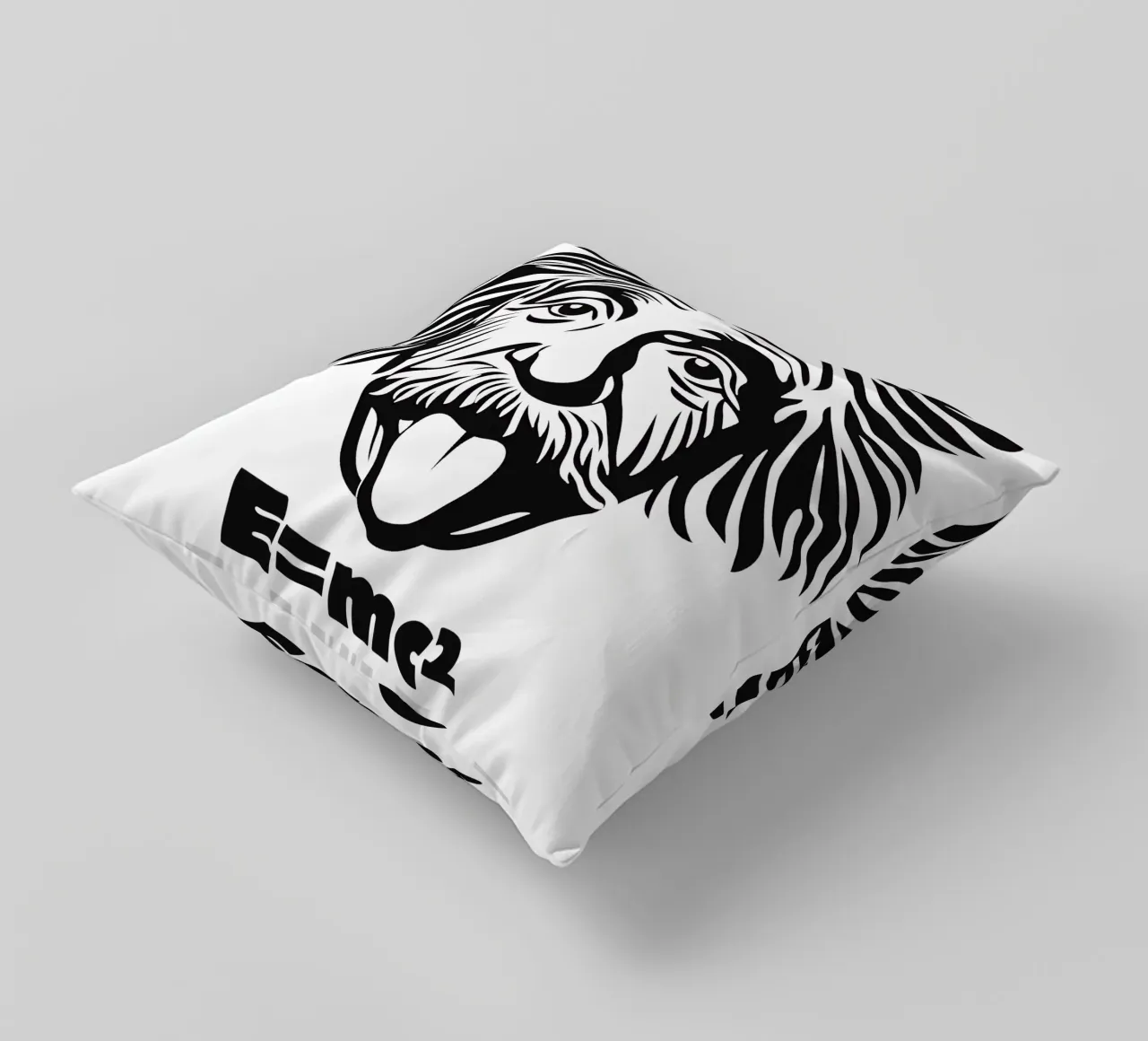 Albert Einstein: E=mc² cuscino da Autofocus