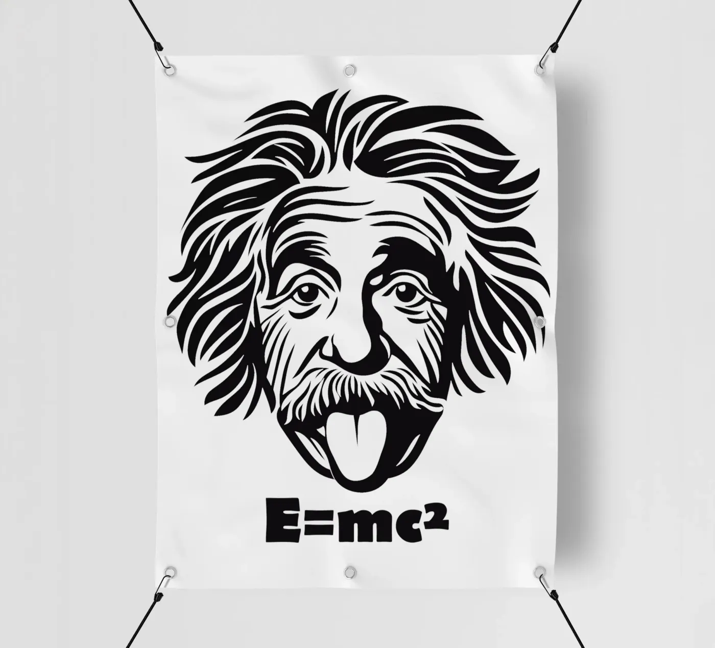 Albert Einstein: E=mc² PVC Plane von Autofocus