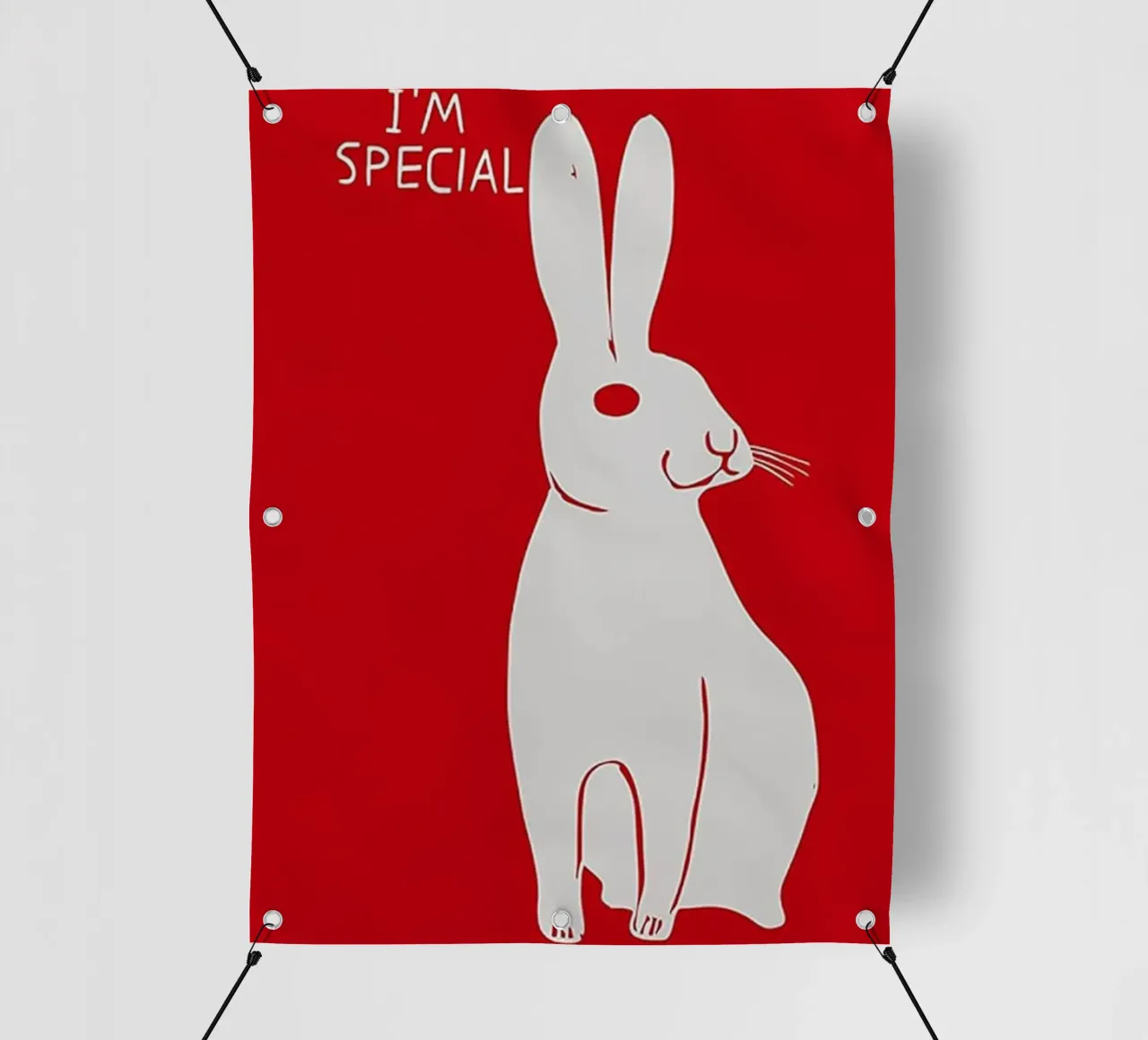 Sono speciale telo in pvc da Sandra