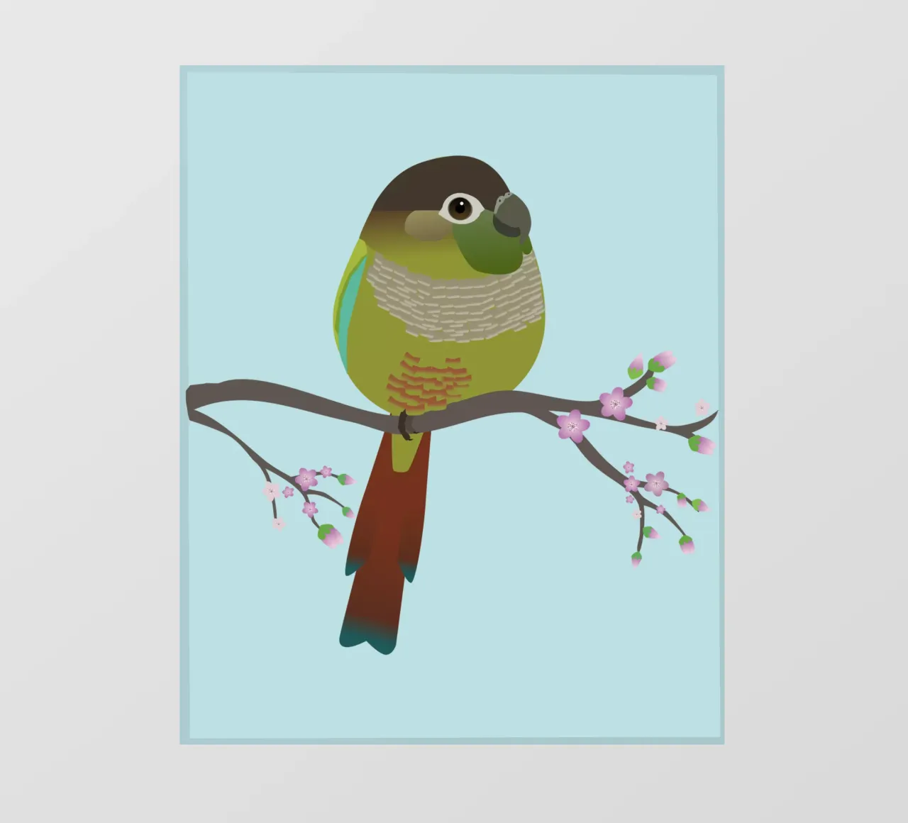Conure à joues vertes en forme d'œuf papier peint photo de BwiseLizzy