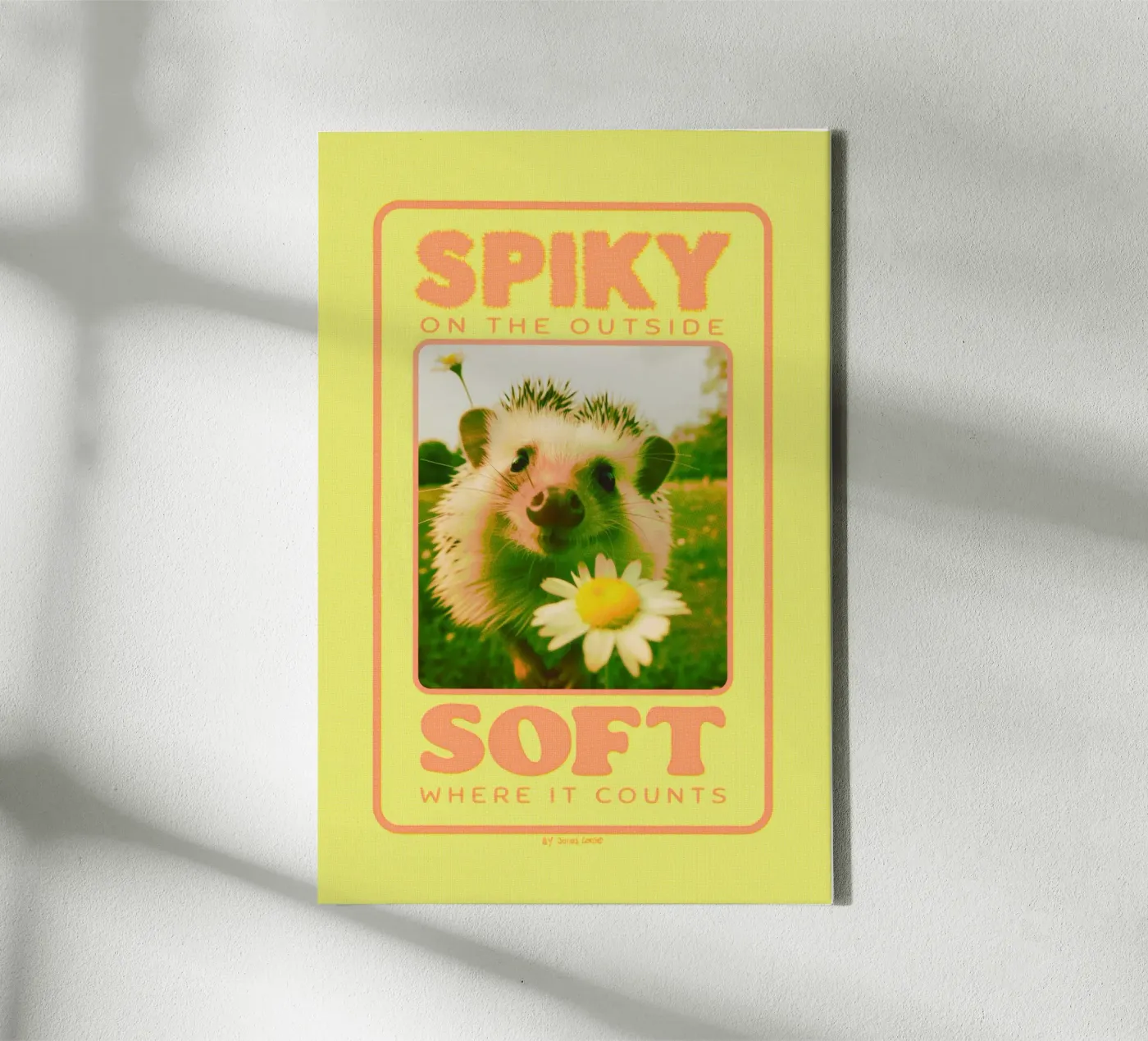 Soft Inside tela da Jonas Loose