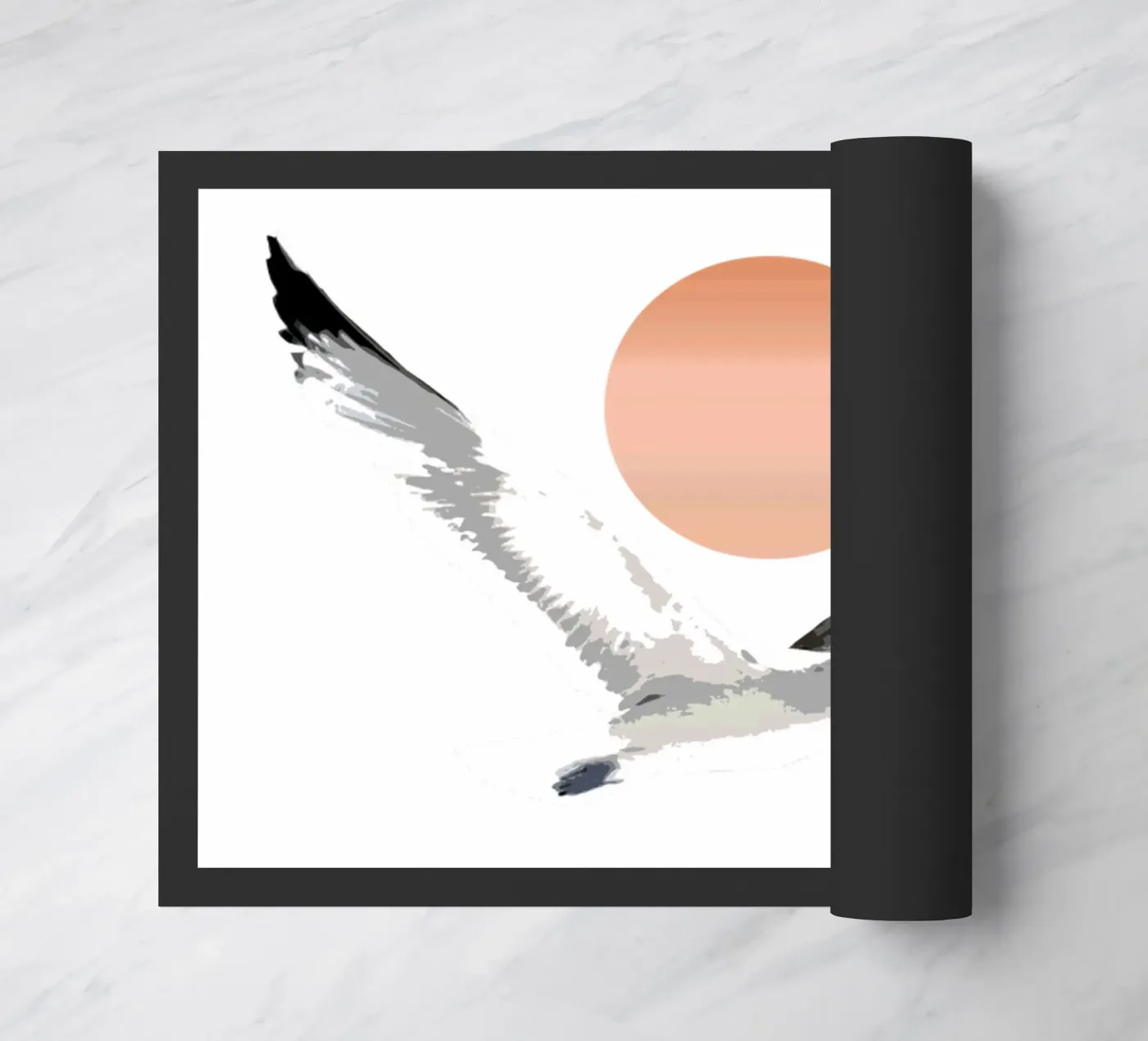 Gabbiano zerbino da beamorello