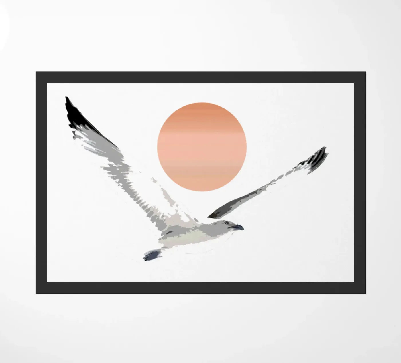 Gabbiano zerbino da beamorello