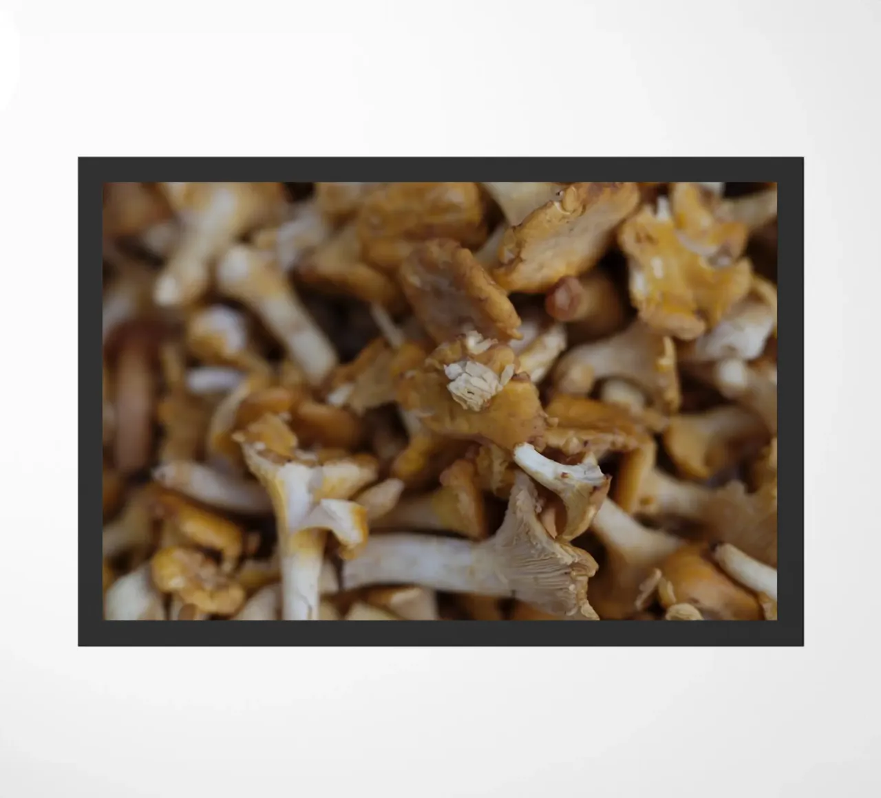 Funghi di Straubing zerbino da Simon Koy