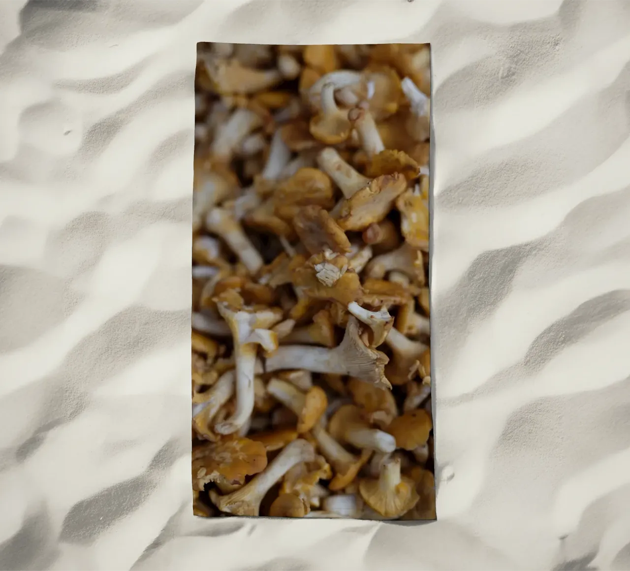 Funghi di Straubing telo mare da Simon Koy