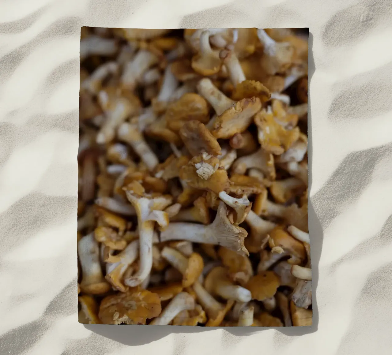Funghi di Straubing telo mare da Simon Koy