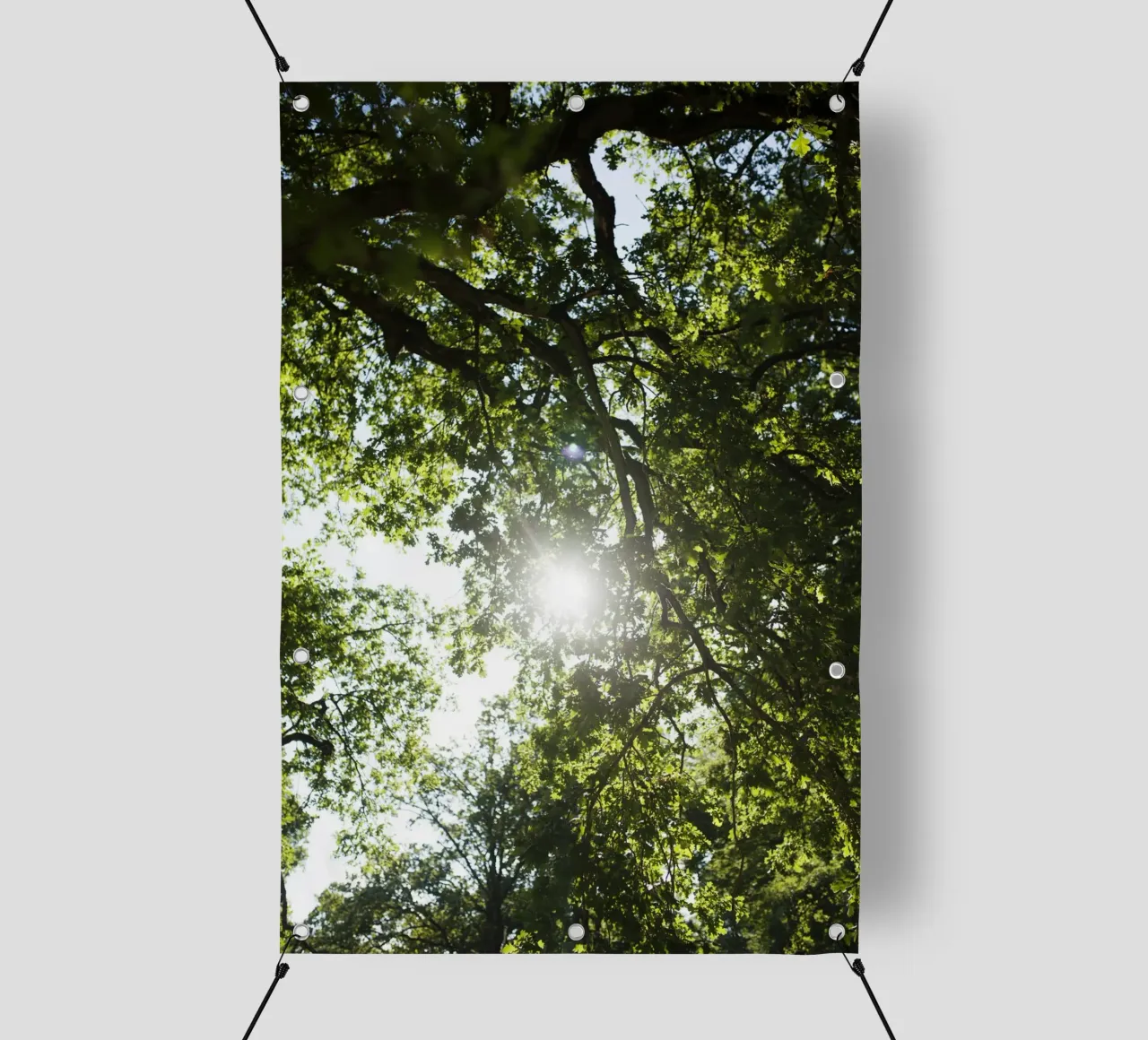 Albero, Valhalla telo in pvc da Simon Koy