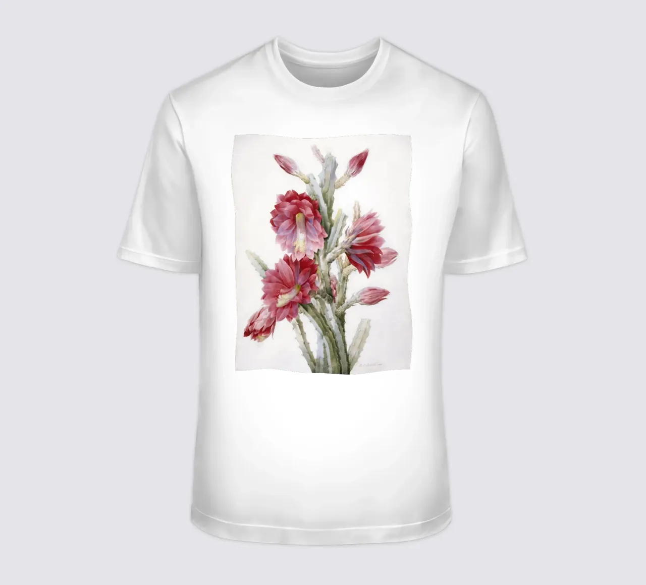 Un cactus in fiore di Pierre-Joseph Redouté t-shirt da Venus Art
