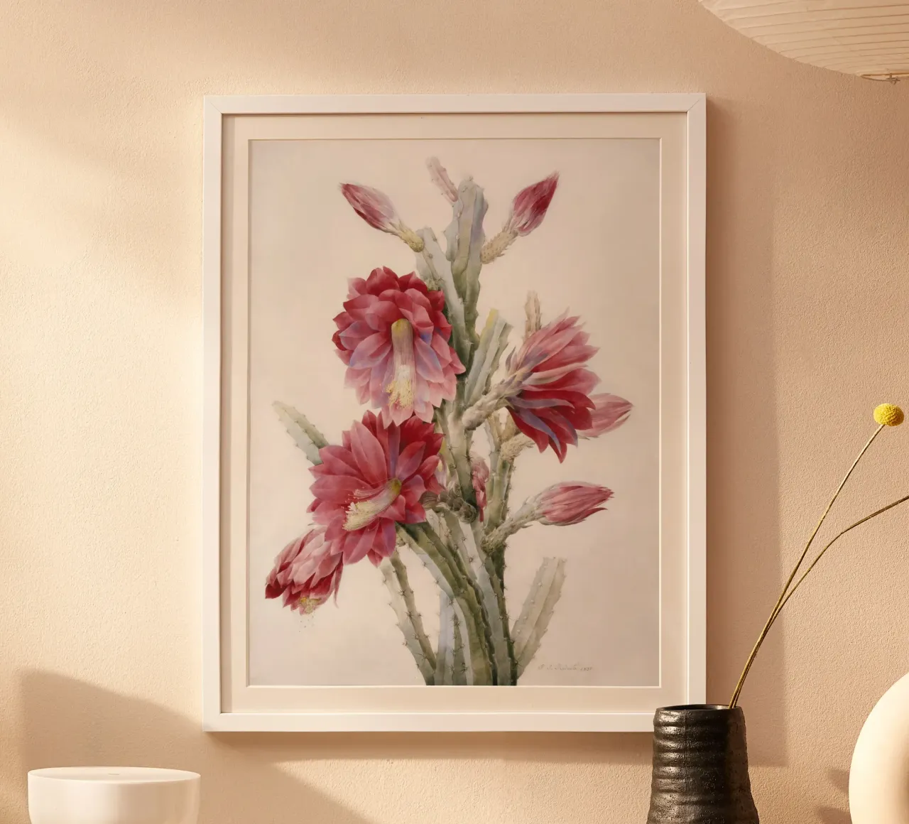Un cactus in fiore di Pierre-Joseph Redouté poster da Venus Art