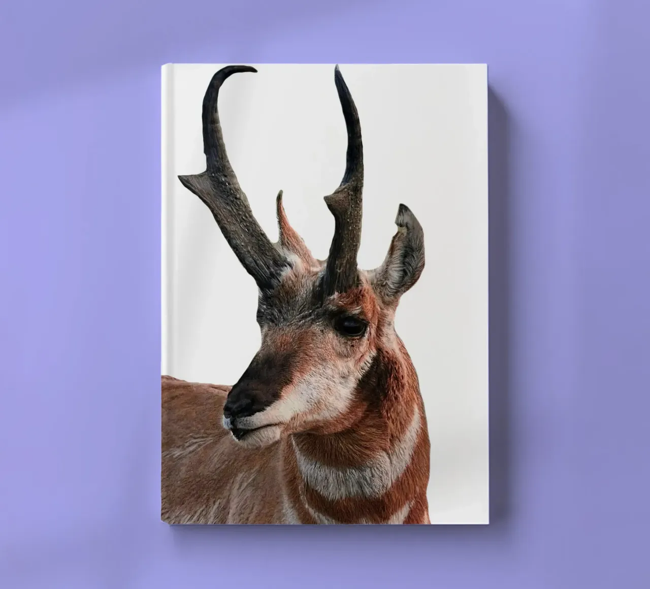 Proghorn Deer diario da Brook Soul King