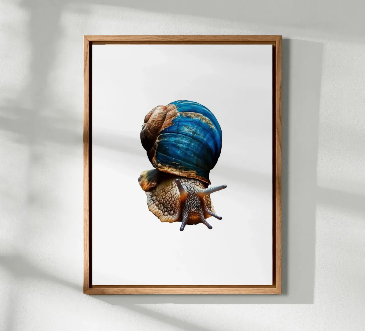 Snail Gastropoda alluminio dibond da Brook Soul King