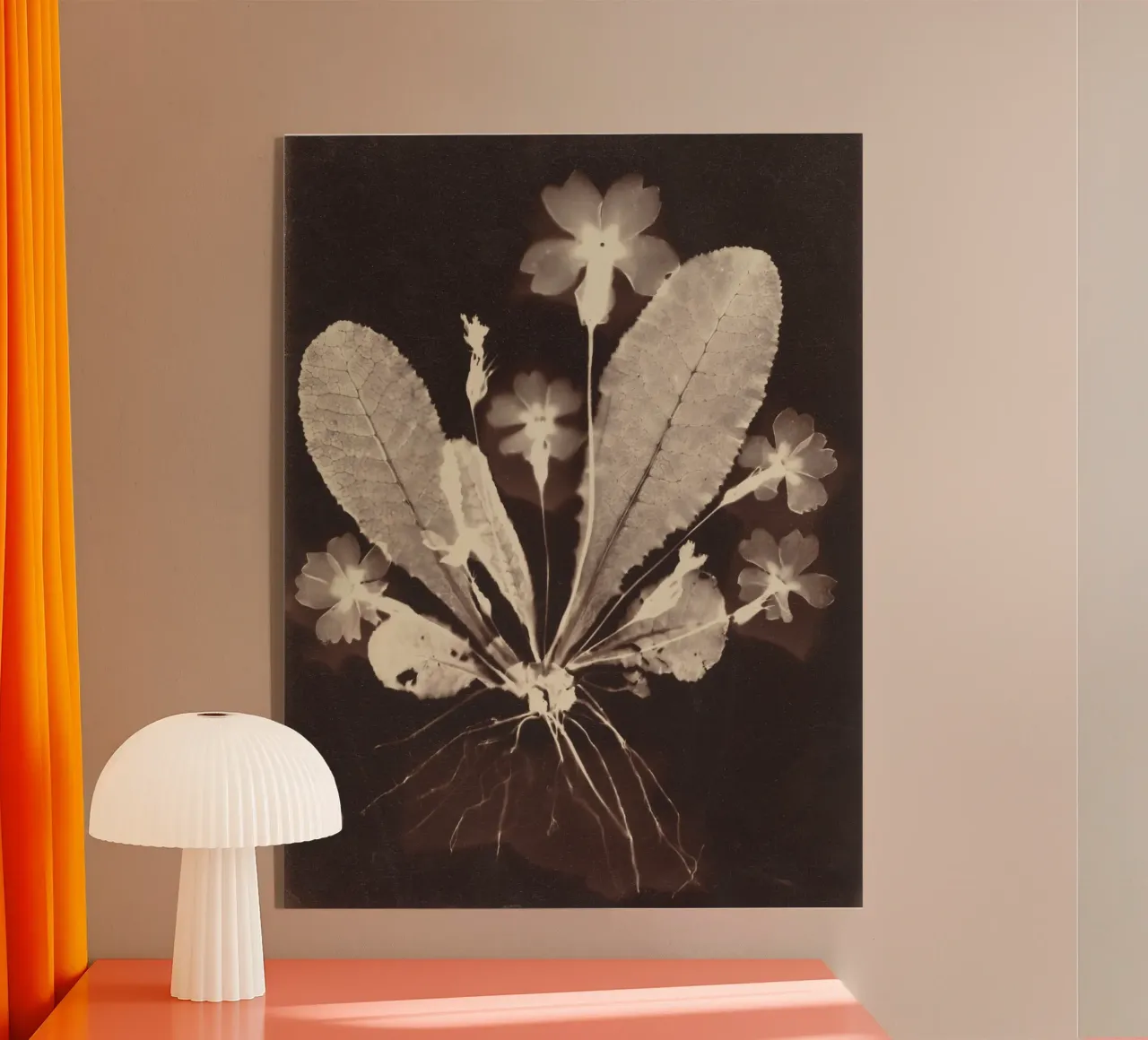 Botanical Photogram plexiglass da vintageshop