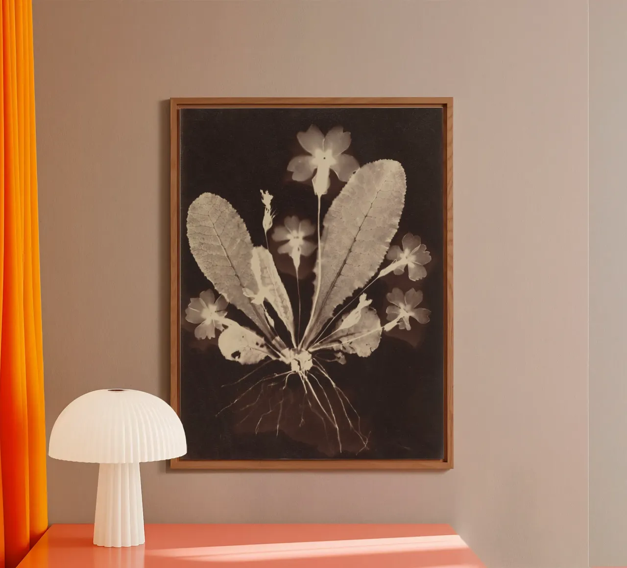 Botanical Photogram alluminio dibond da vintageshop