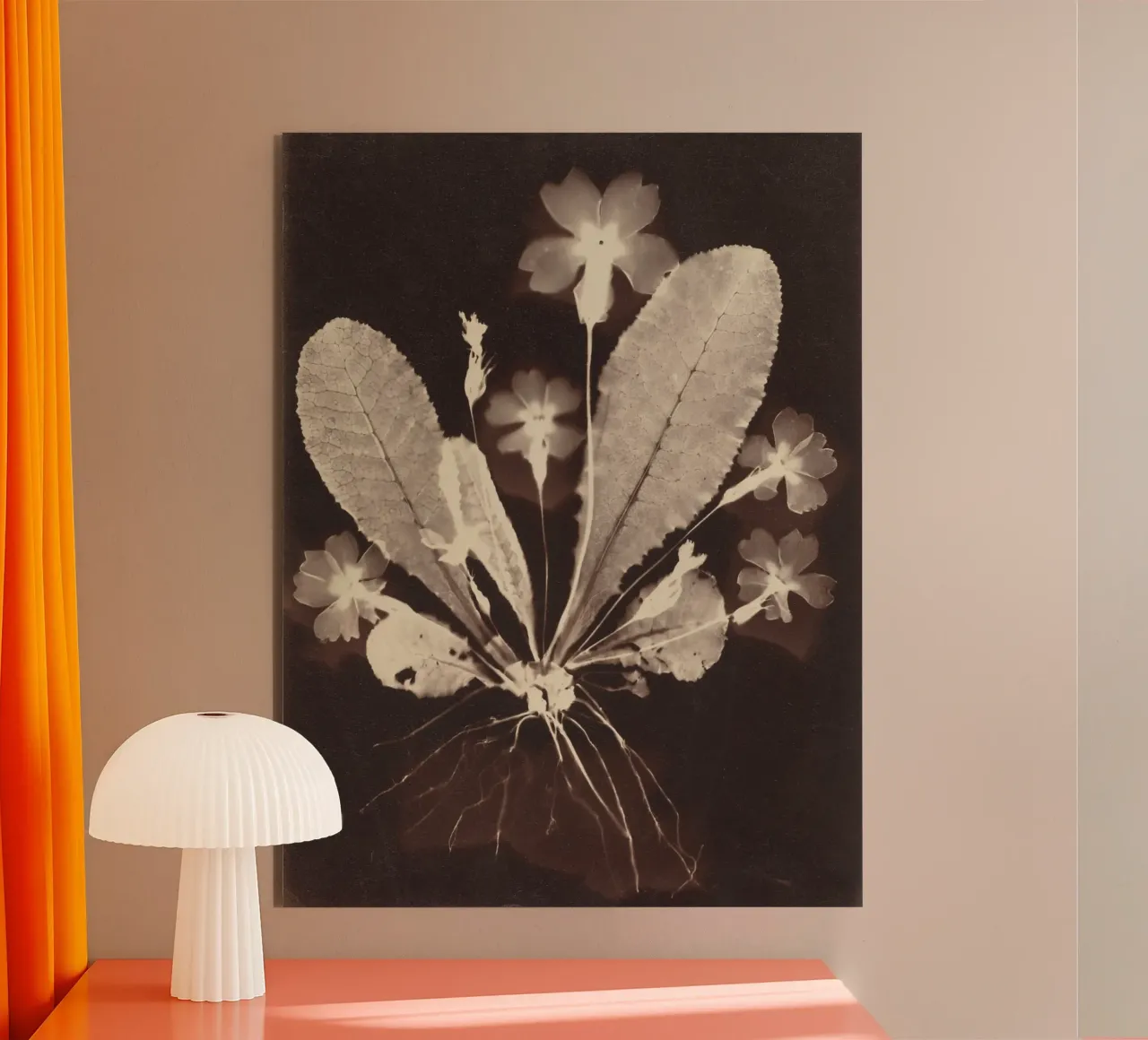 Botanical Photogram alluminio dibond da vintageshop