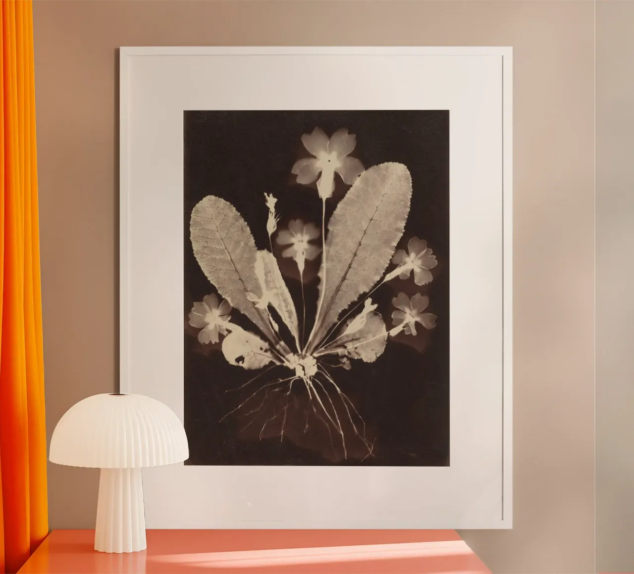 Botanical Photogram carta hahnemühle da vintageshop