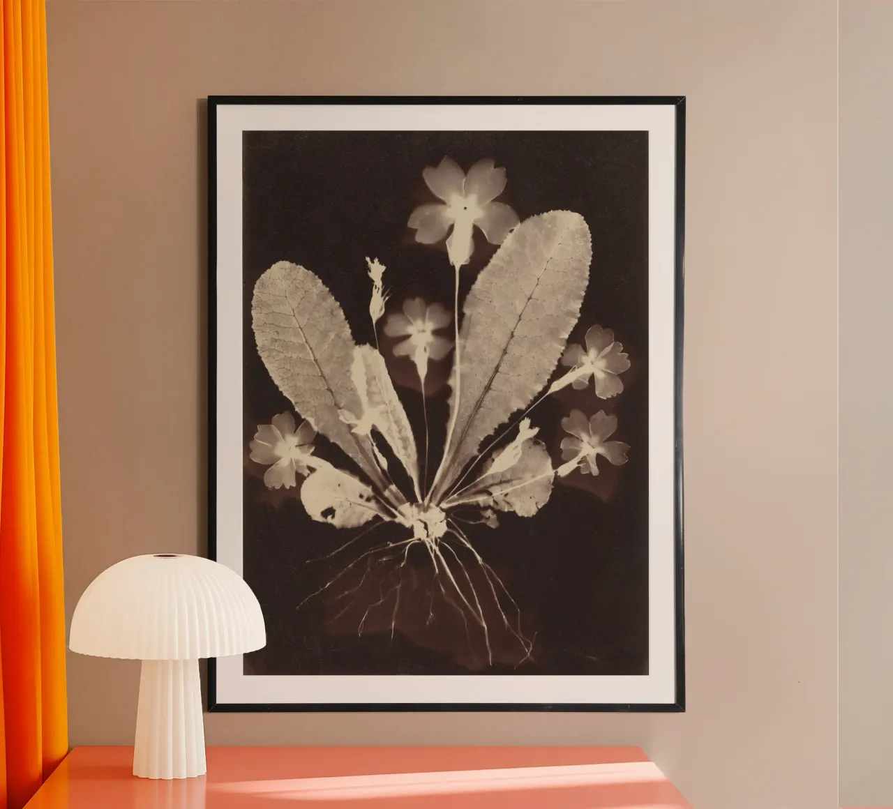 Botanical Photogram carta hahnemühle da vintageshop