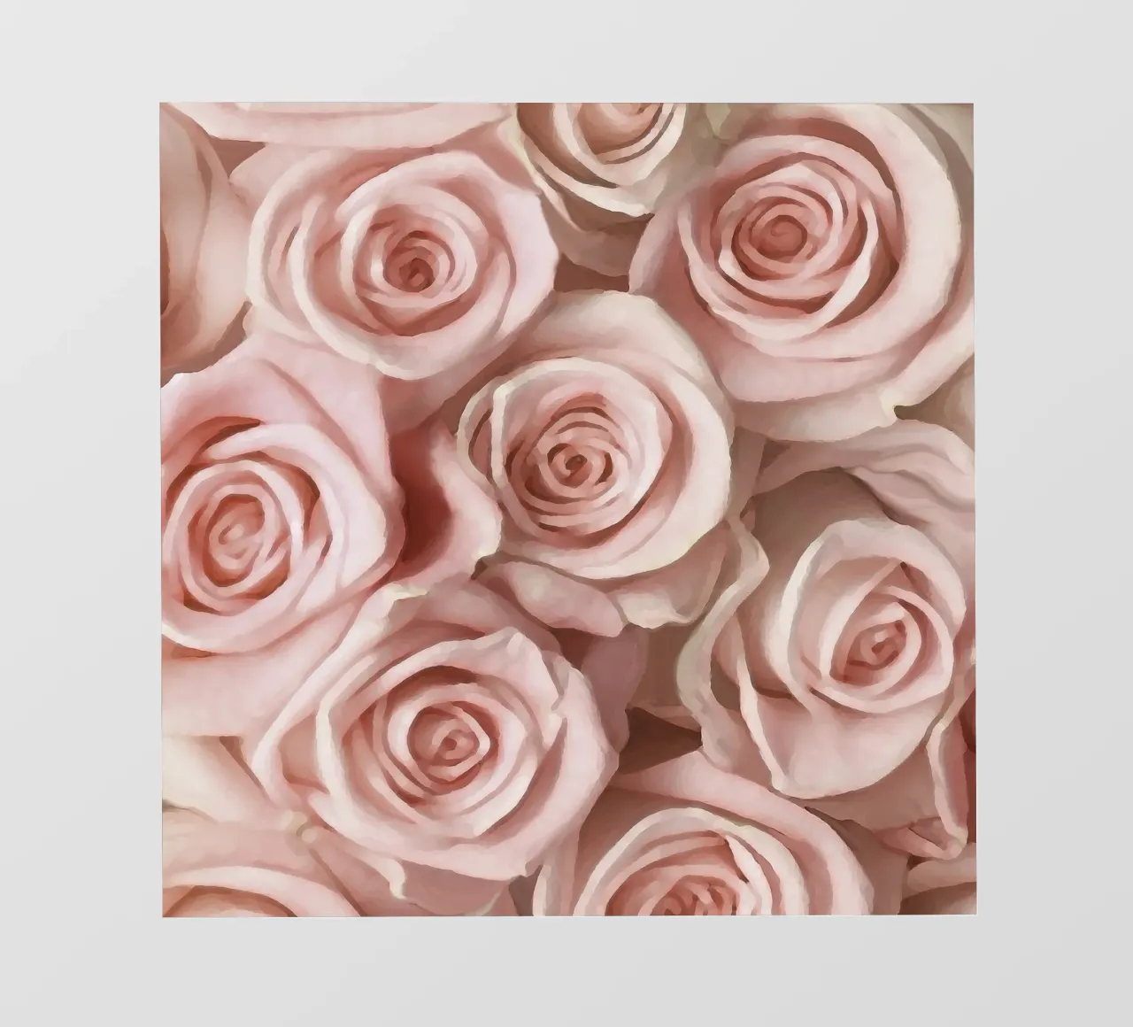 Rose rosa telo in pvc da beamorello