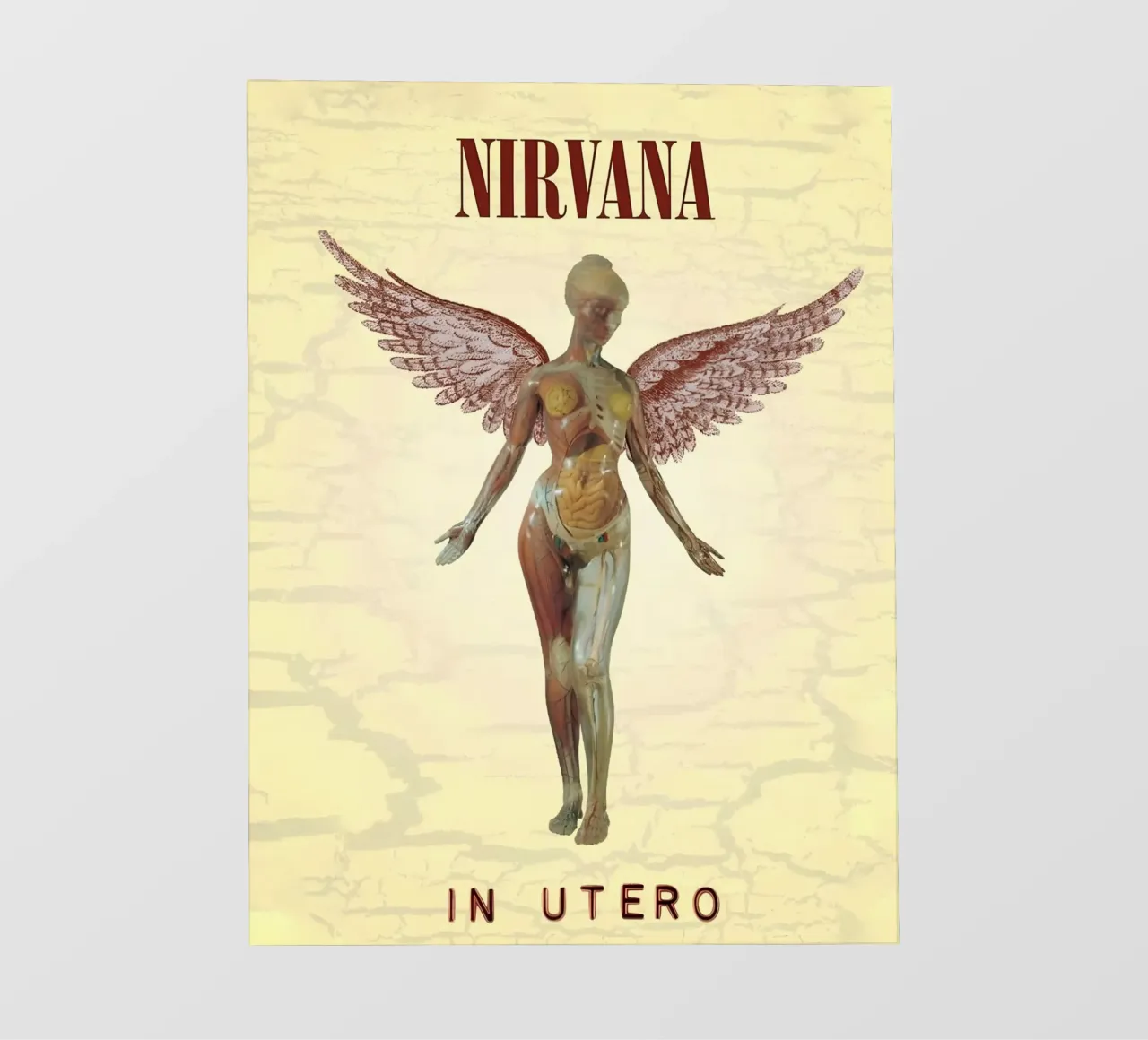 In Utero pellicola backlit da vintage singer