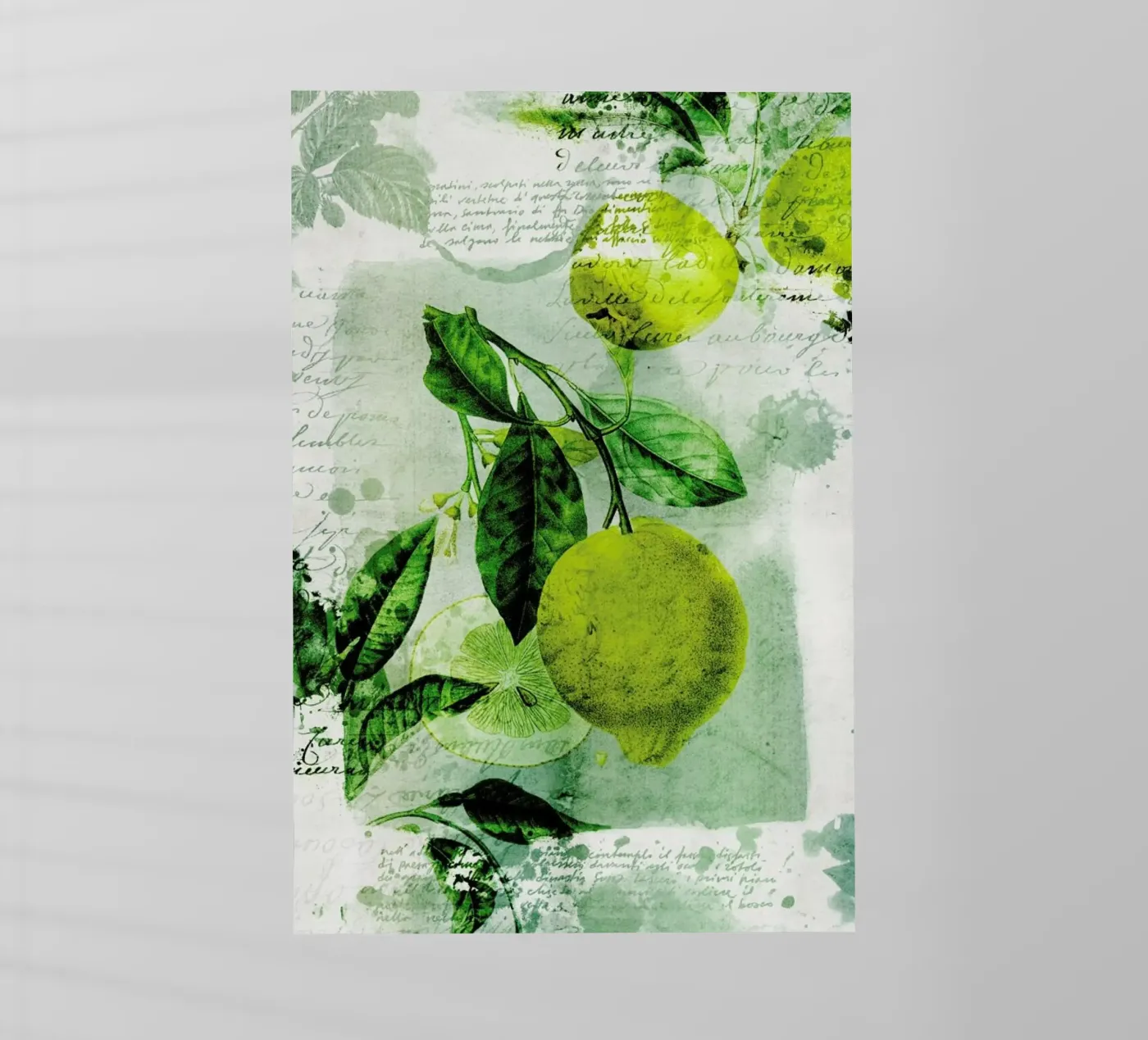 Botanic 1 pellicola backlit da Mr Cup